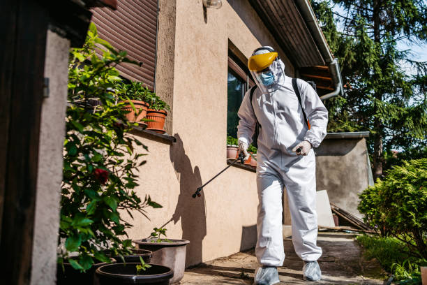 Best Affordable Pest Control Services  in Sheffield Lake, OH