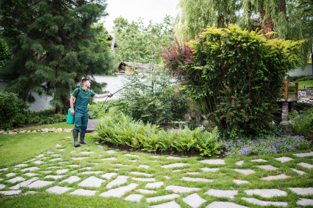 Best Affordable Pest Control Services  in Sheffield Lake, OH