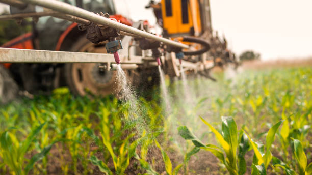 Best Pest Prevention Services  in Sheffield Lake, OH